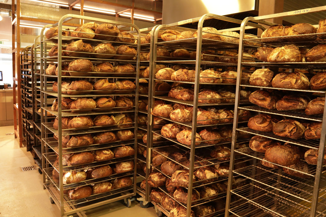 Zona de arrefecimento dos pães, dispostos em carrinhos metálicos